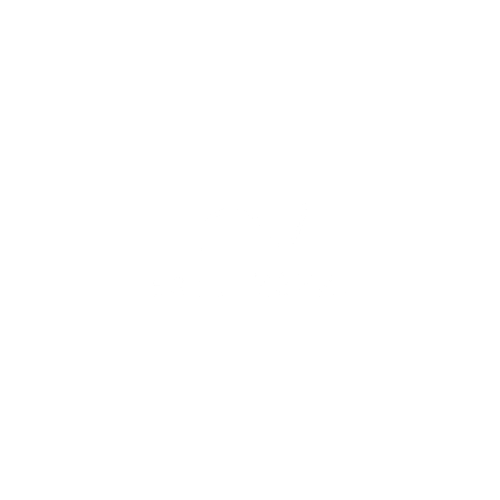 logo light